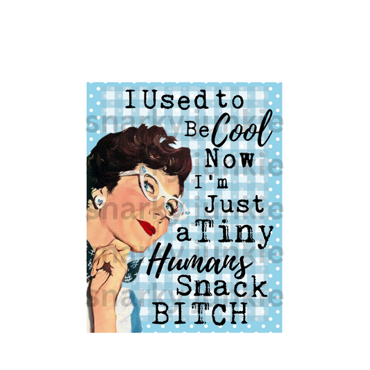 Snarky Lady  I used to be Cool Now I'm just a tiny Humans Snack Bitch Magnet Or Coaster